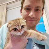 Николай, 34, Москва