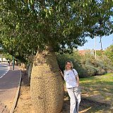 Эльмира, 39, Москва