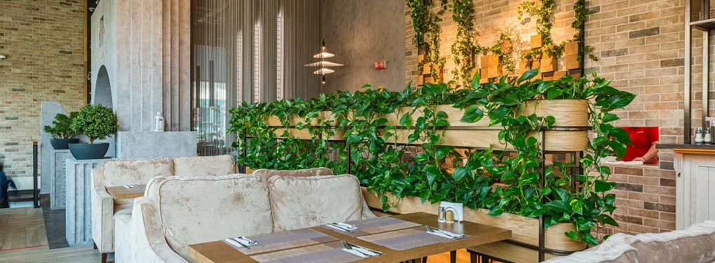 Ресторан «IL Патио»